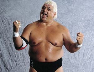 dusty rhodes