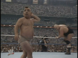 vlcsnap-2011-02-09-00h40m18s102