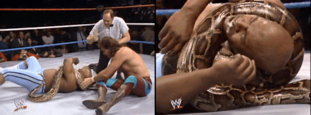 Wrestlemania-II_Jake-the-snake-Roberts_Damien_VS_Georges-Wells