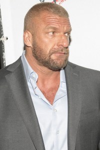 triple h 2013