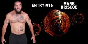 entry16markbriscoe