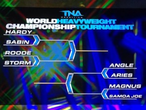tna heavyweight ch