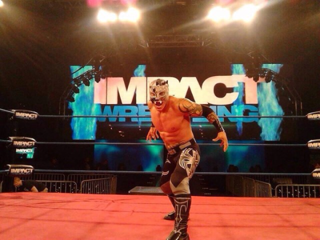 Tijuana Xtreme Tiger