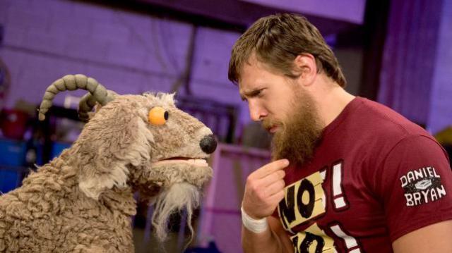 Daniel Bryan y la cabra