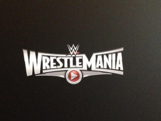 logo wm 31
