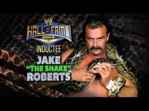 jake roberts