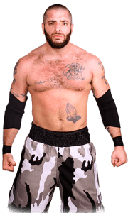 Mark Briscoe ROH