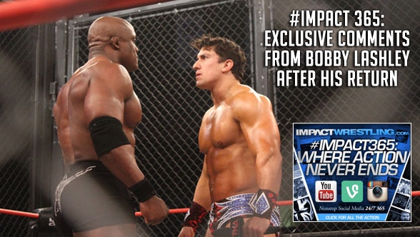 Actualidad TNA: Reacciones post –&nbsp;Lockdown