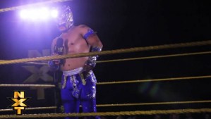 kalisto