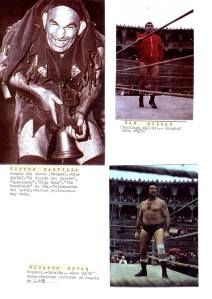 fichas de luchadores