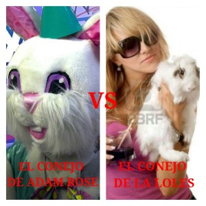 collage_20141013213544025_20141013213950596