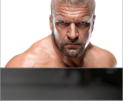 HHH Molesto con Cm&nbsp;Punk