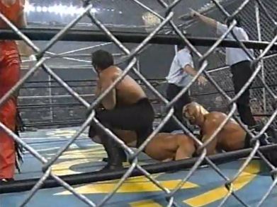 nWo Defeated Team WCW