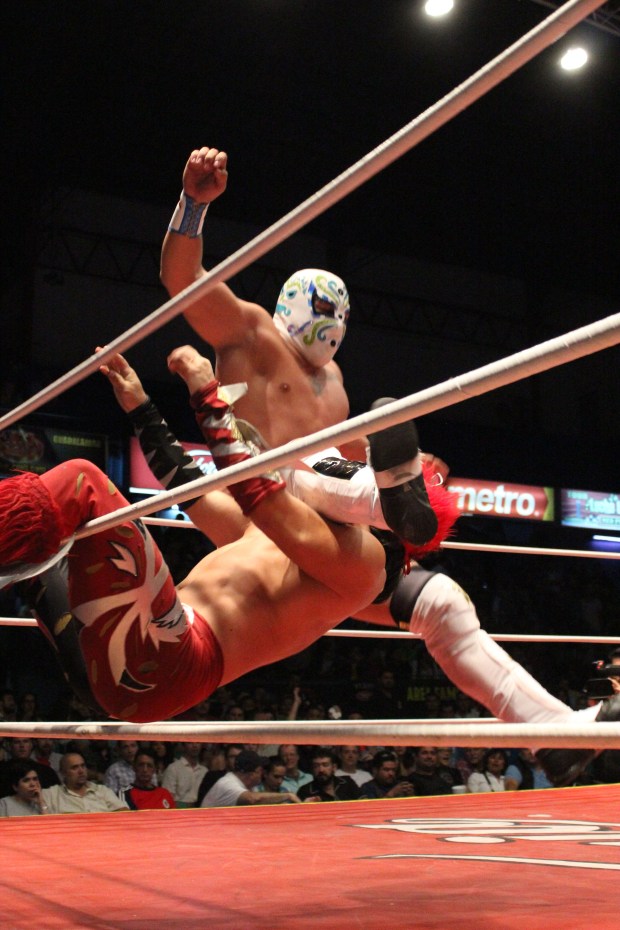 CMLL (1)