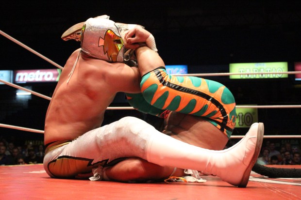 CMLL (7)